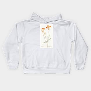 Desert mariposa lily - Botanical Illustration Kids Hoodie